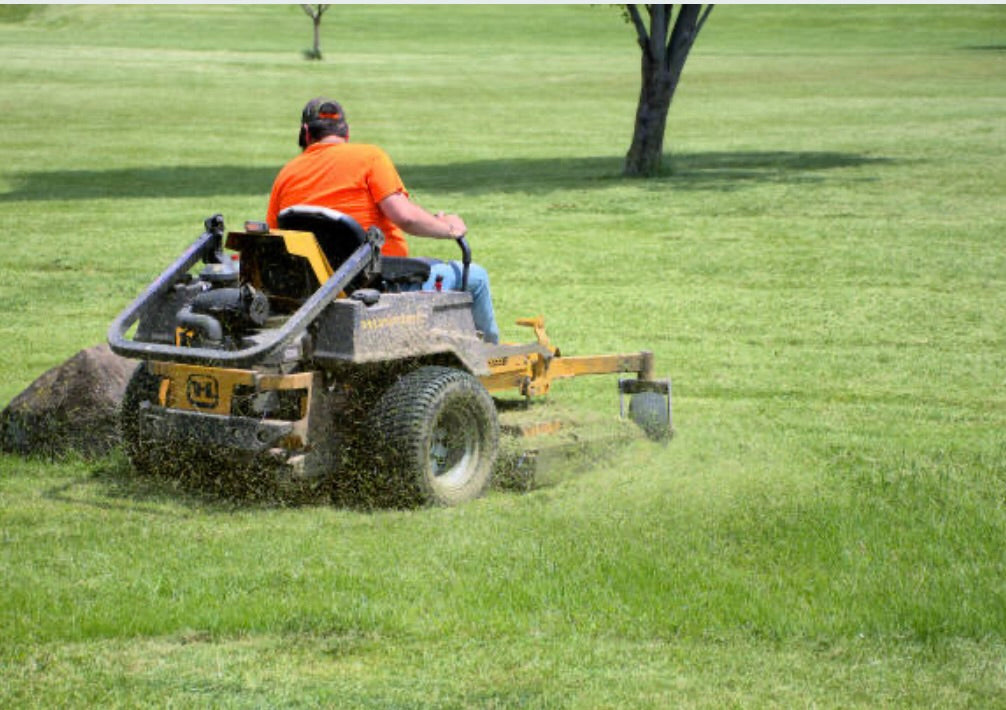 Lawn Mowing