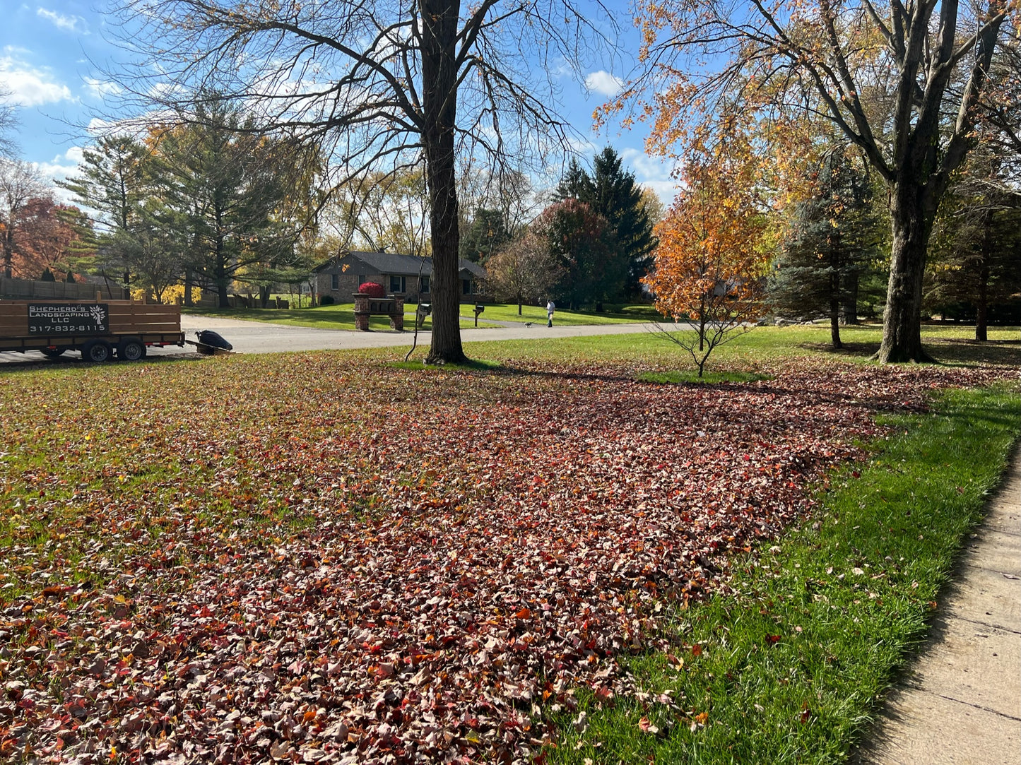 Leaf Removal & Gutter Cleaning Services