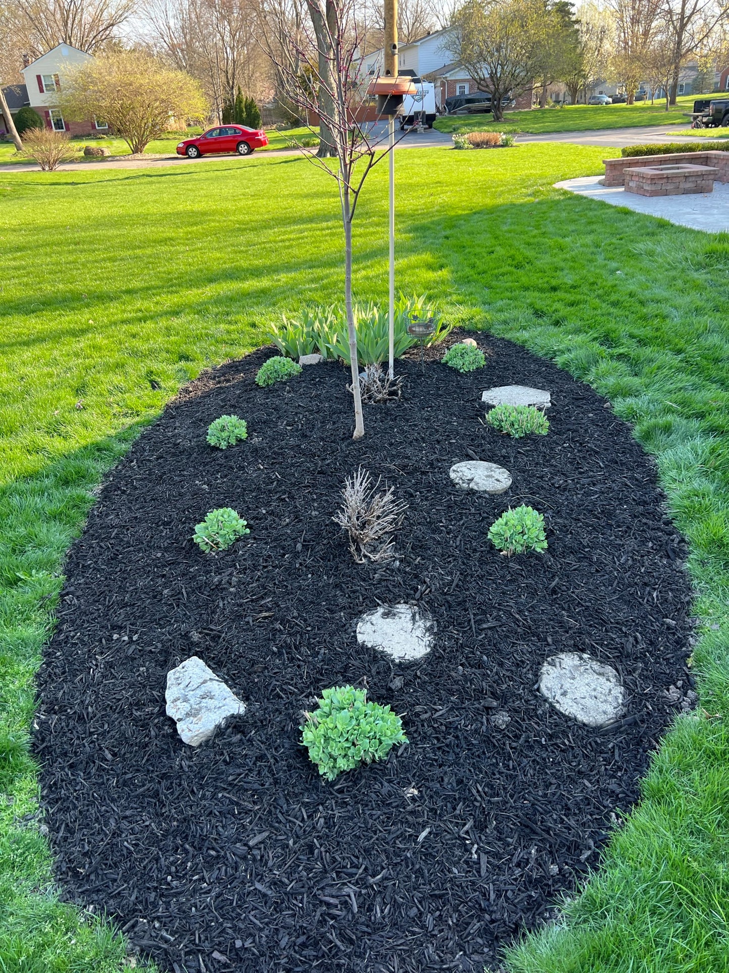 Weed Control Service