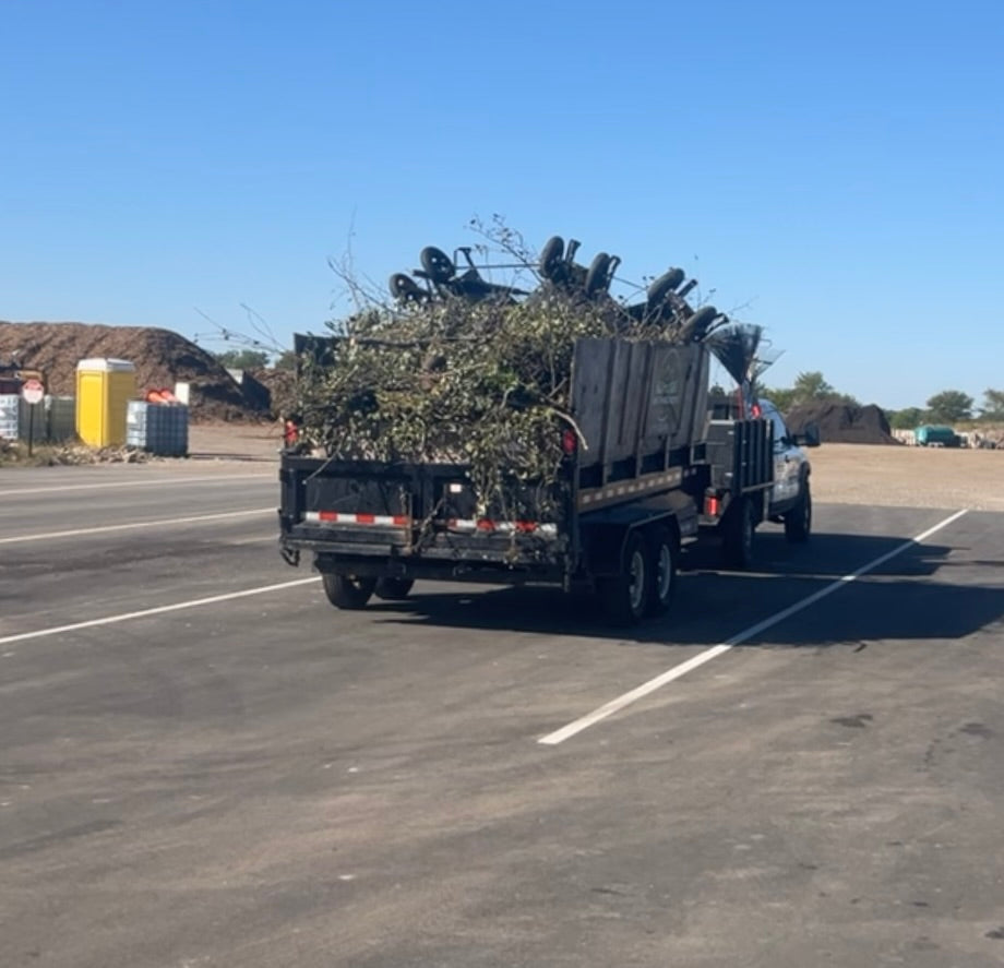 Brush/vegetation removal