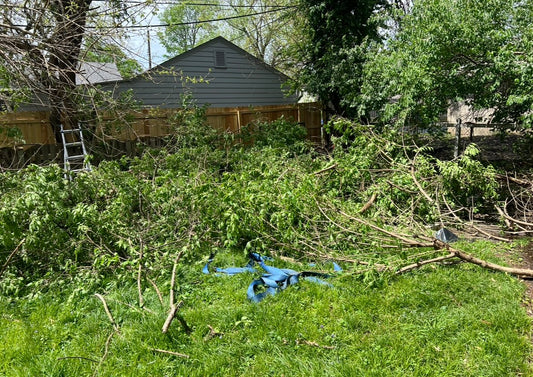 Brush/vegetation removal