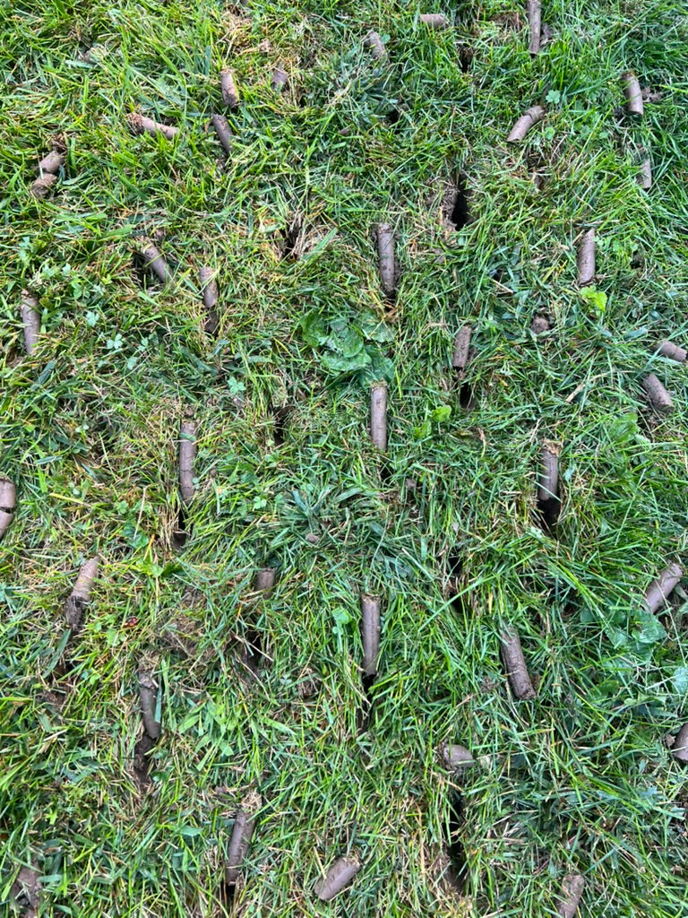 Aeration & Overseeding