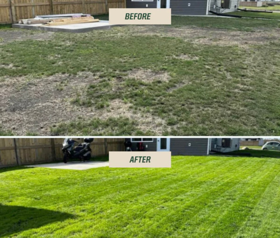 Aeration & Overseeding